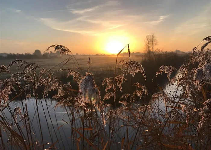 アパート Proche Et Commerces Avec Parking Privatif - Fr-1-323-528 サン・ジャン·ド・モン