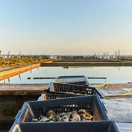 Proche Et Commerces Avec Parking Privatif - Fr-1-323-528 Apartament *