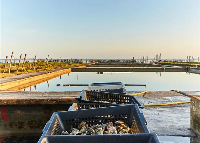 Proche Et Commerces Avec Parking Privatif - Fr-1-323-528 아파트 *